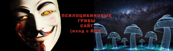 гидропоника Аркадак