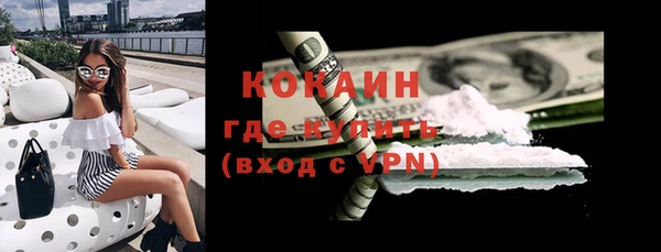 ПСИЛОЦИБИНОВЫЕ ГРИБЫ Арсеньев